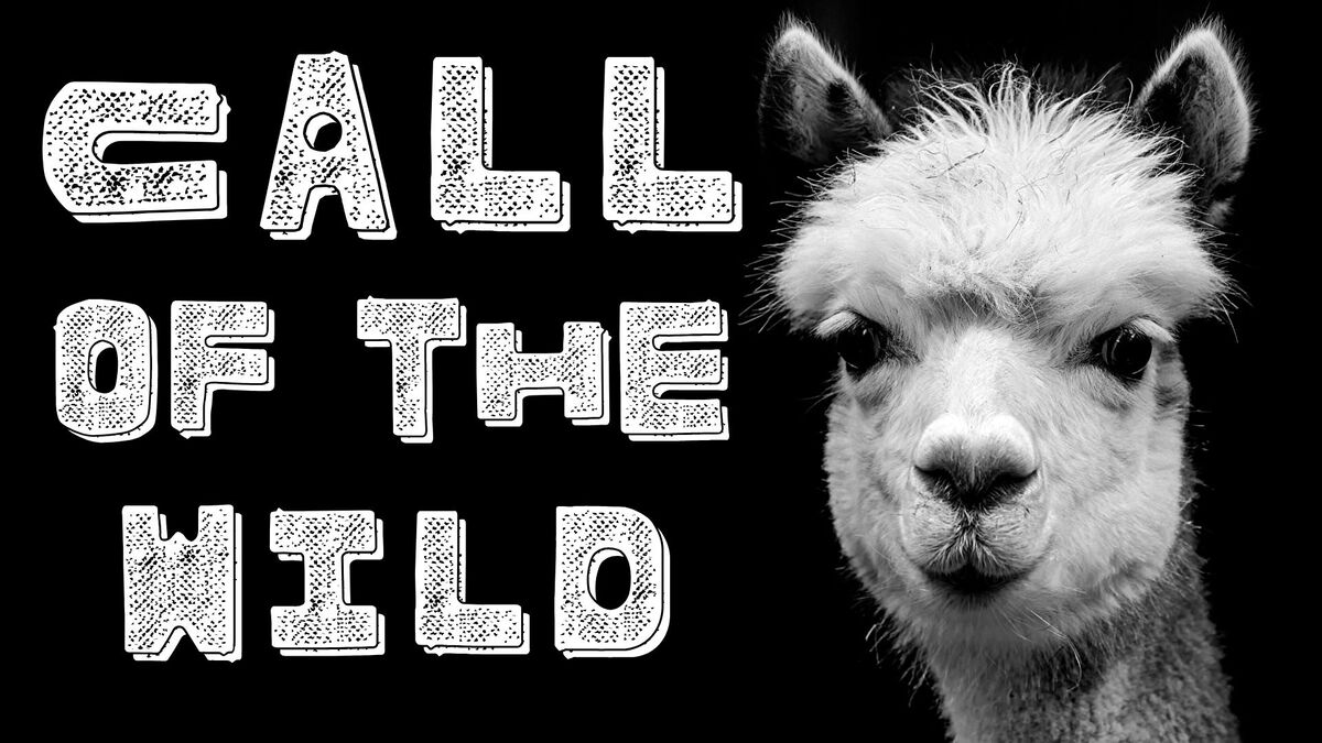 Call of the Wild image number null